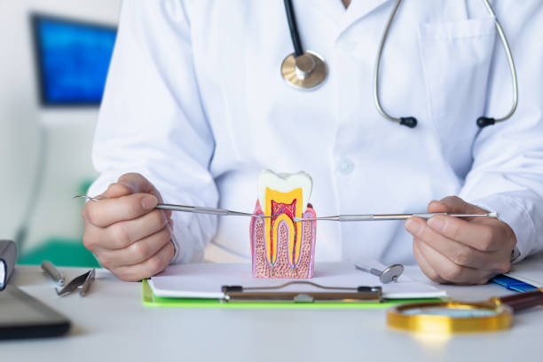 Best Urgent Care for Lost Fillings or Crowns in Cedar Glen West, NJ